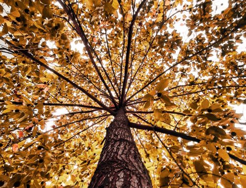 Wat maakt functional medicine zo anders?